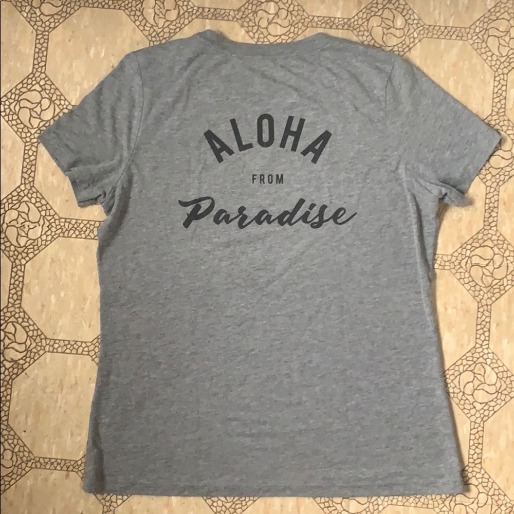 T&C surf v neck in gray SZ sm